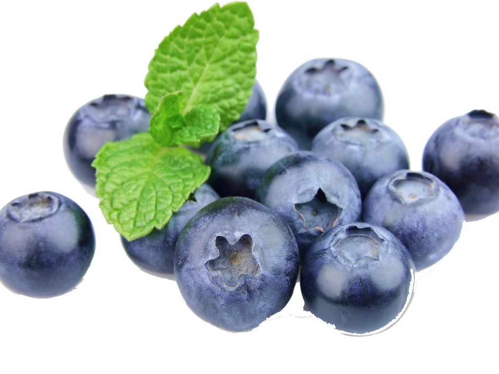 blueberry-leaf-vaccinium-angustifolium-blueberry-leaf-extract