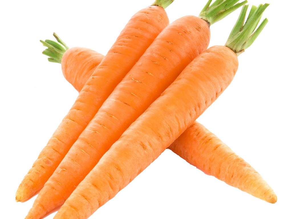 Carrot Extract Daucus Carota Sativa (Carrot) Root Extract - Botanical ...