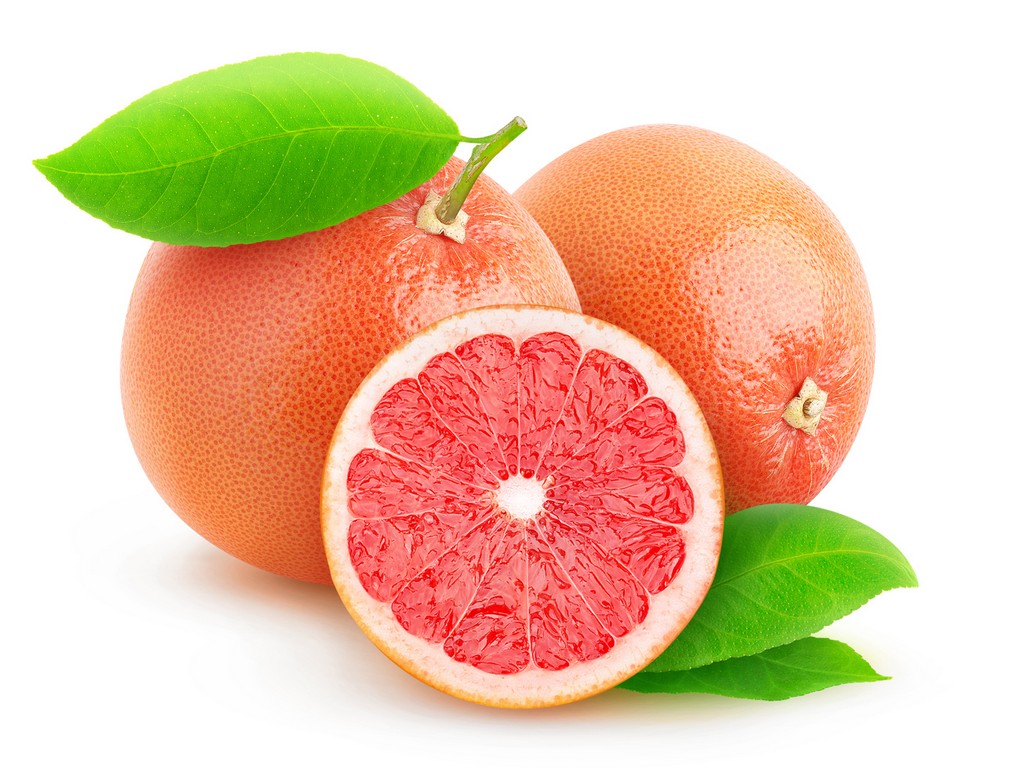 Grapefruit Seed Citrus Paradisi (Grapefruit) Seed Extract - Botanical ...