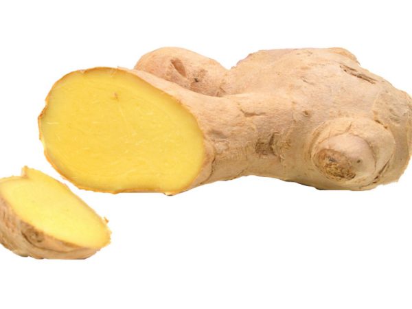 Ginger Root, FE - 5055B