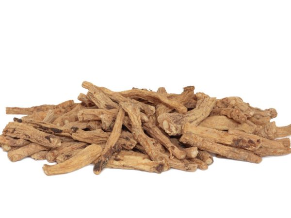 Codonopsis Root Codonopsis Lanceolata Root Extract