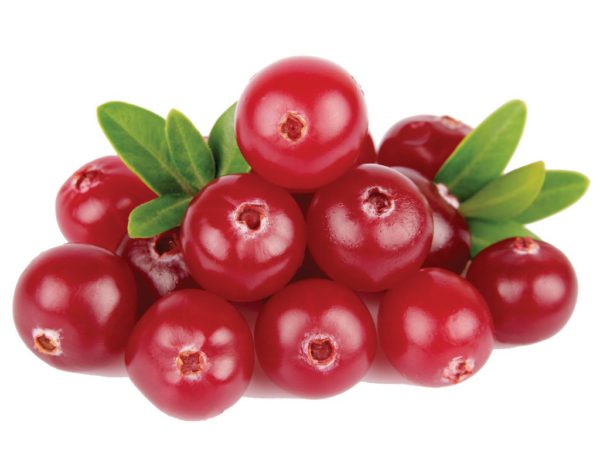 Cranberry Vaccinium Macrocarpon (Cranberry) Fruit Extract