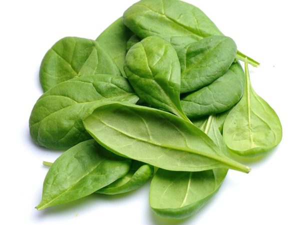 Spinach Leaf Spinacia Oleracea (Spinach) Leaf Extract