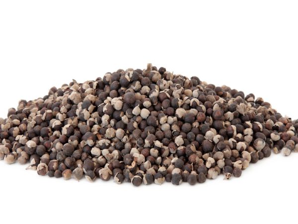 Vitex Berry Vitex Agnus Castus Extract