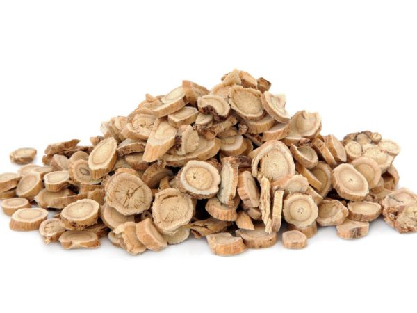 Astragalus Root Astragalus Membranaceus Root Extract