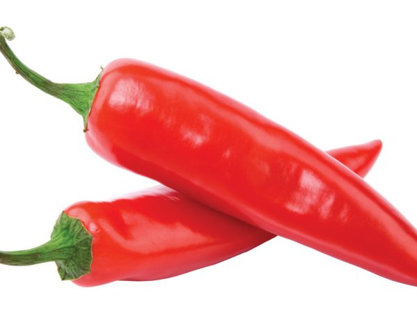 Capsicum, FE - 5022A