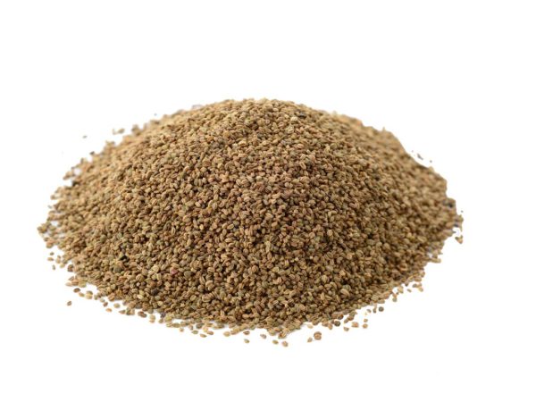 Celery Seed Apium Graveolens (Celery) Seed Extract