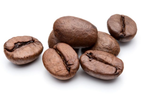 Coffee Seed Coffea Arabica (Coffee) Seed Extract