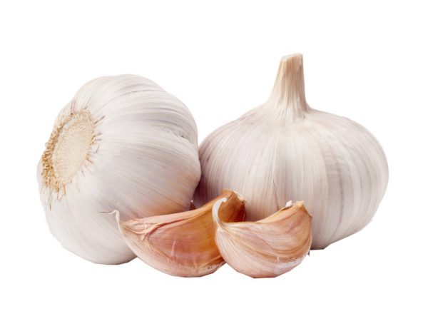 Garlic Bulb Allium Sativum (Garlic) Bulb Extract