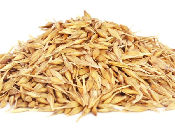 Oats, FE - 5101