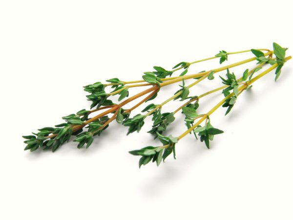 Thyme in Olive Oil - 3923