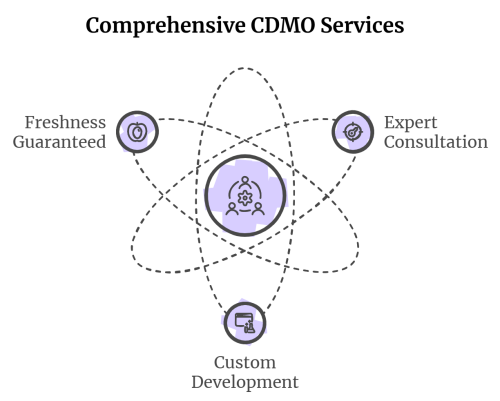 Comprehensive CDMO Serives